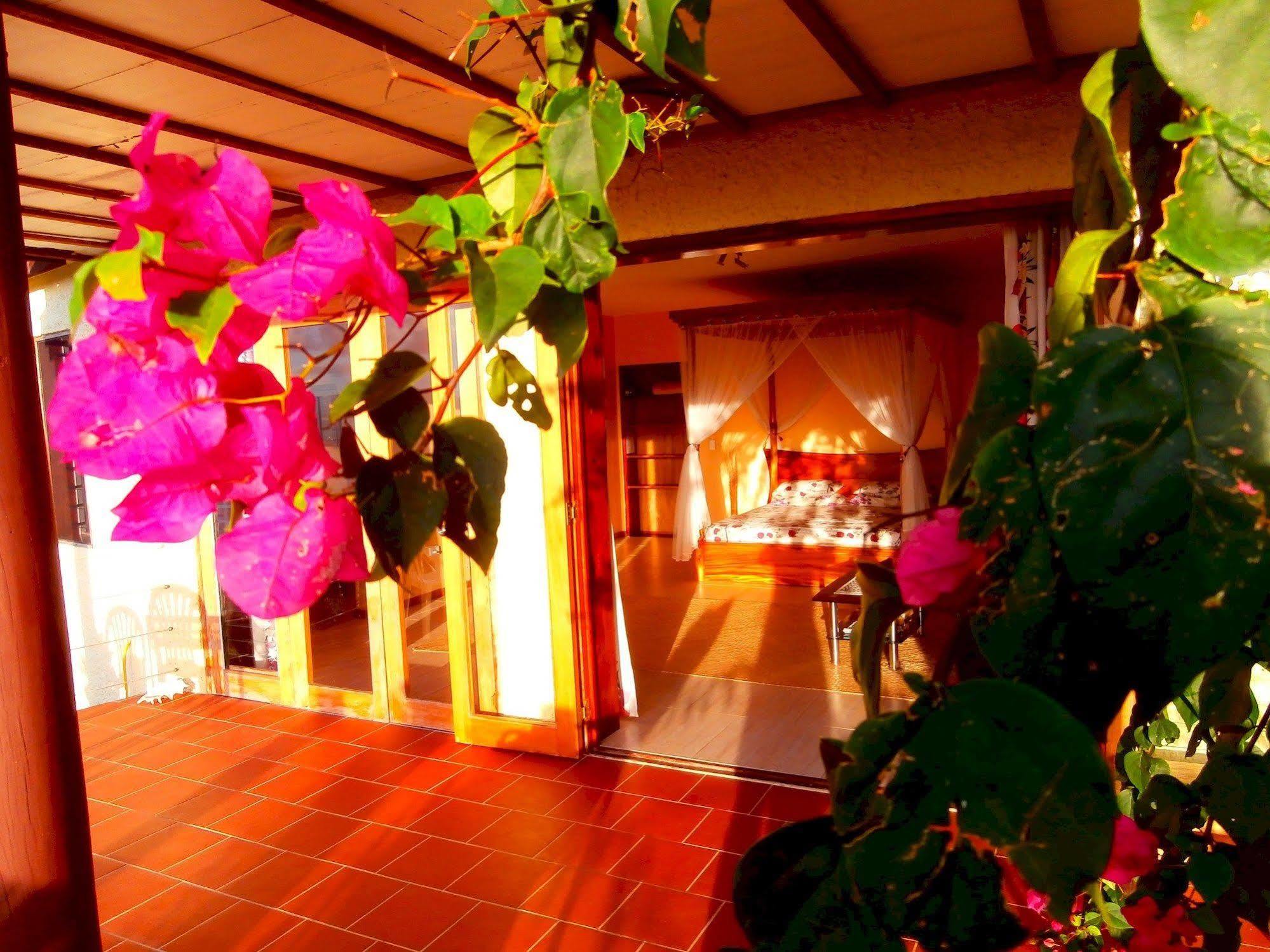 Korovesi Sunshine Villas 사부사부 외부 사진